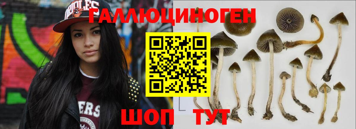 Псилоцибиновые грибы MAGIC MUSHROOMS  Вход с VPN  Менделеевск 